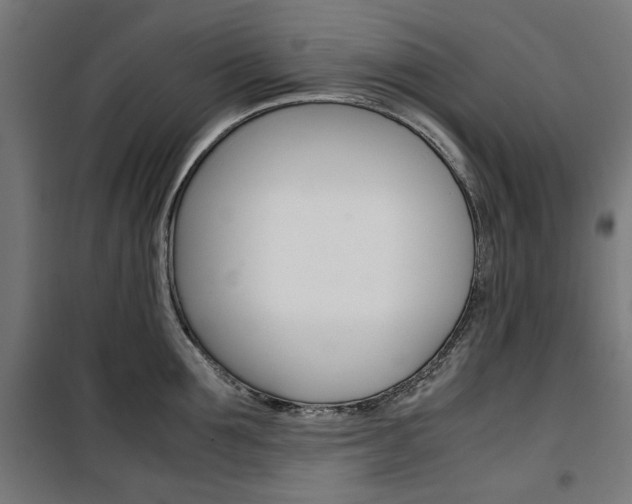 X0000100880907200806201144