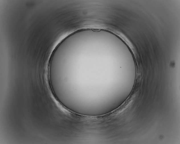 X0000100880909200806201144