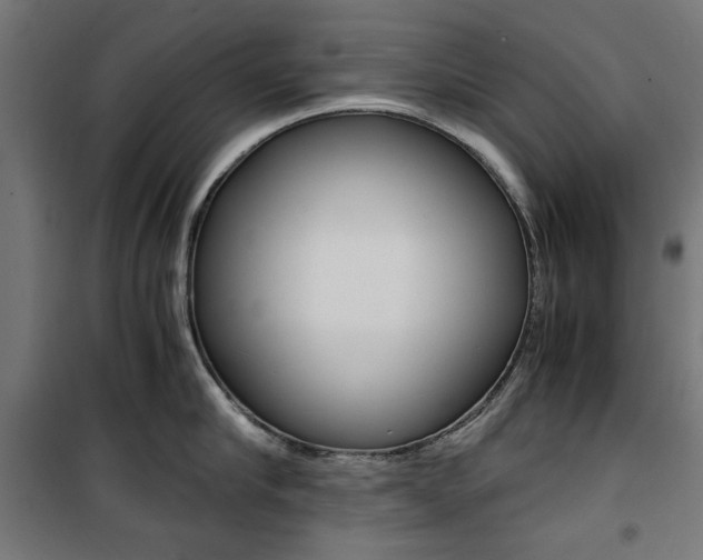 X0000100880910200806201144