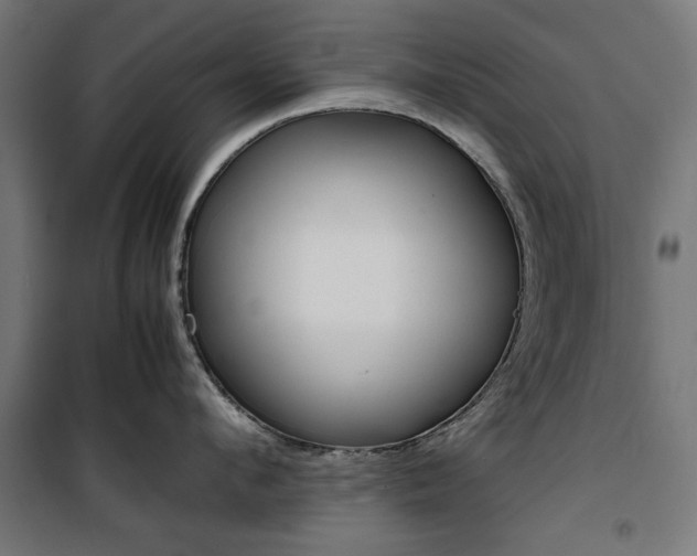X0000100880912200806201144
