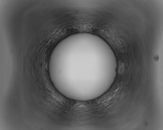 X0000100880913200806201143