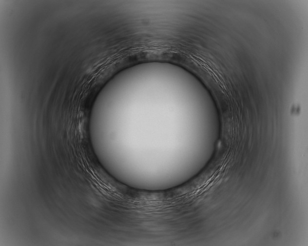 X0000100880914200806201143