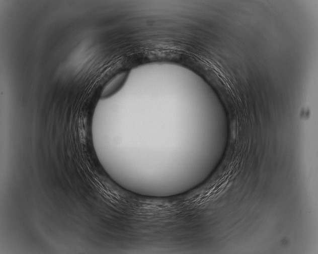 X0000100880915200806201143