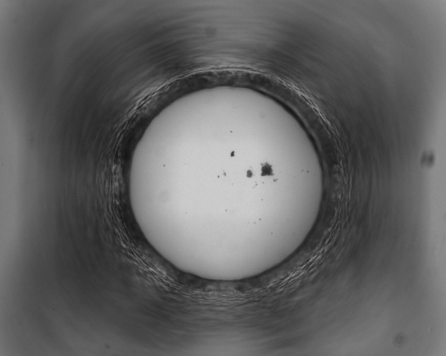 X0000100880918200806201143