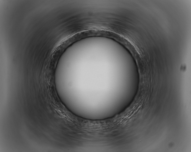 X0000100880919200806201143