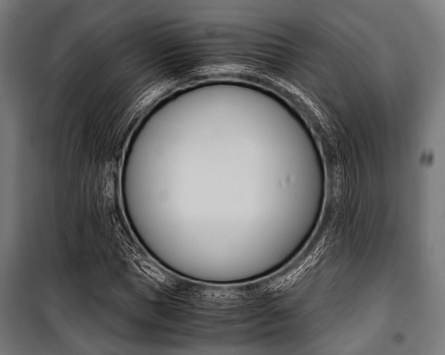 X0000100880921200806201143