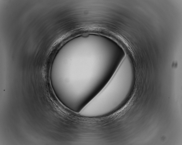 X0000100880922200806201143