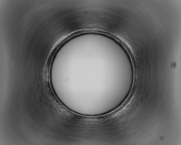 X0000100880925200806201143