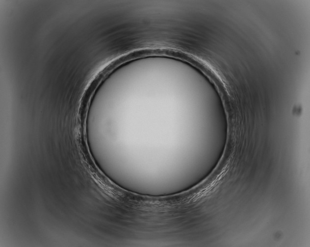 X0000100880927200806201143