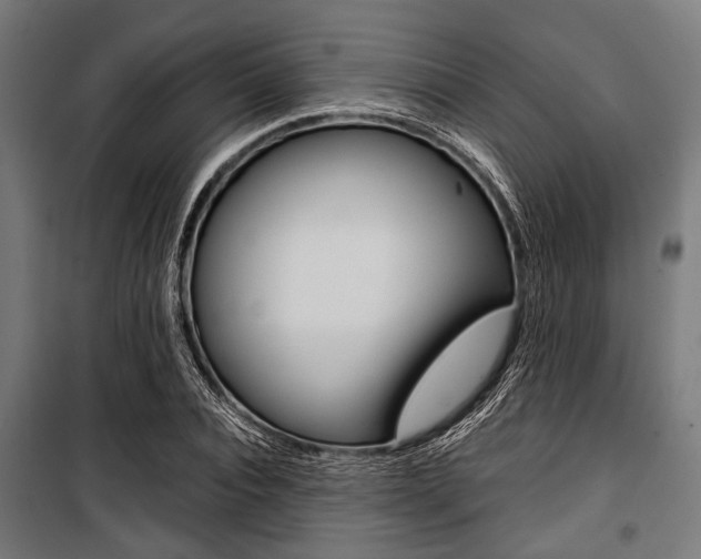 X0000100880928200806201143