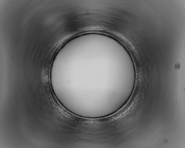 X0000100880929200806201143