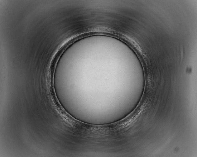 X0000100880931200806201143
