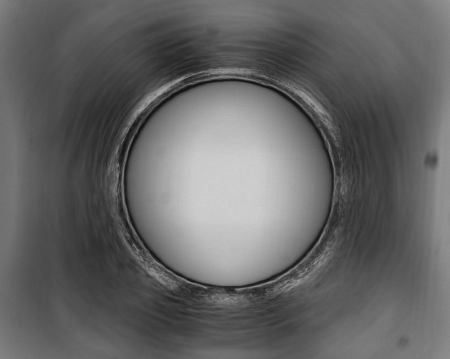 X0000100880933200806201143