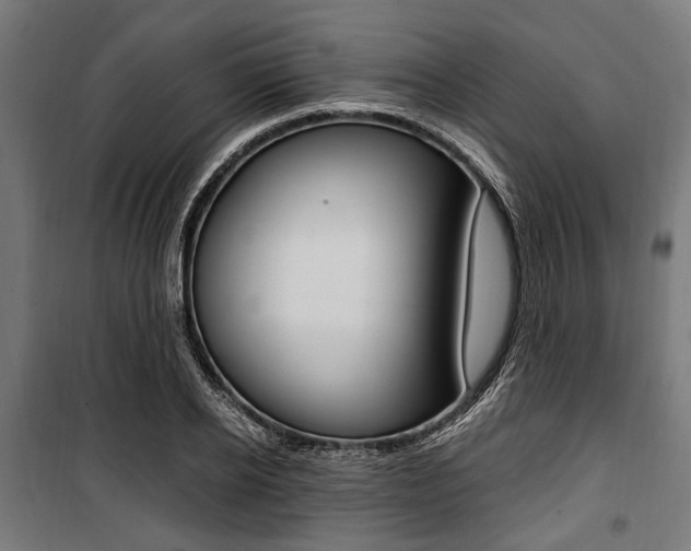 X0000100880934200806201143