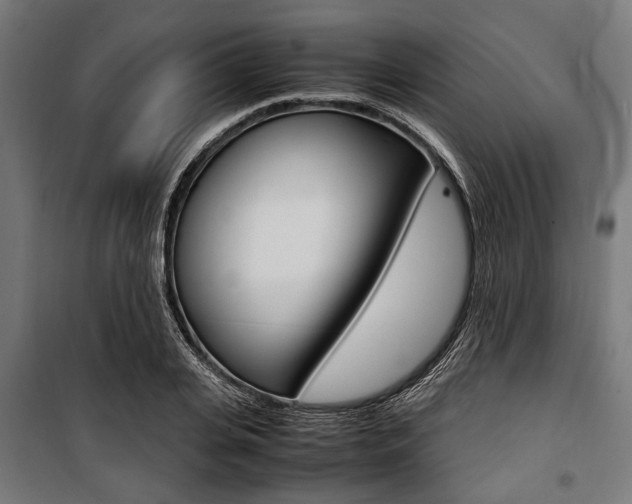 X0000100880935200806201143