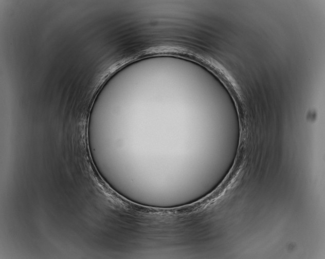 X0000100880937200806201143
