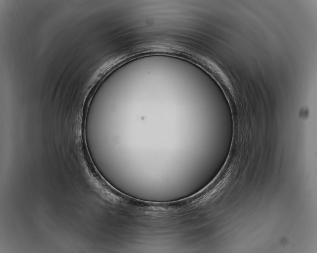 X0000100880938200806201143