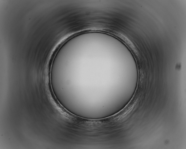 X0000100880939200806201143
