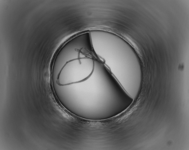 X0000100880940200806201143