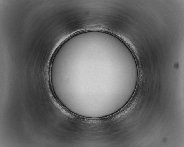 X0000100880941200806201143