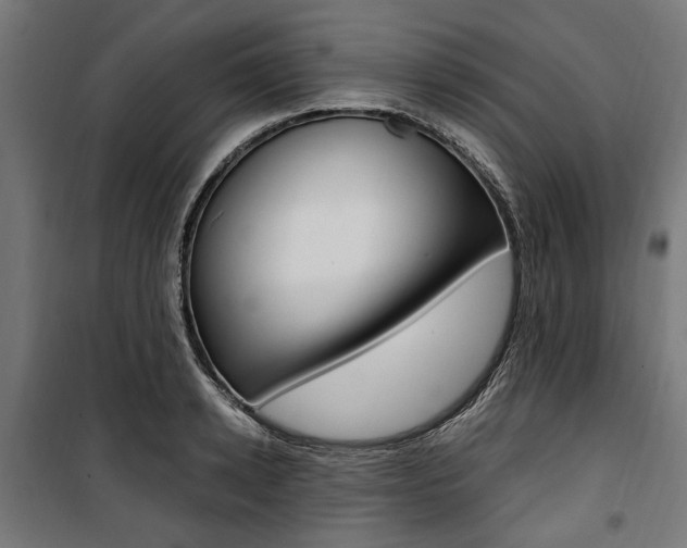 X0000100880942200806201143