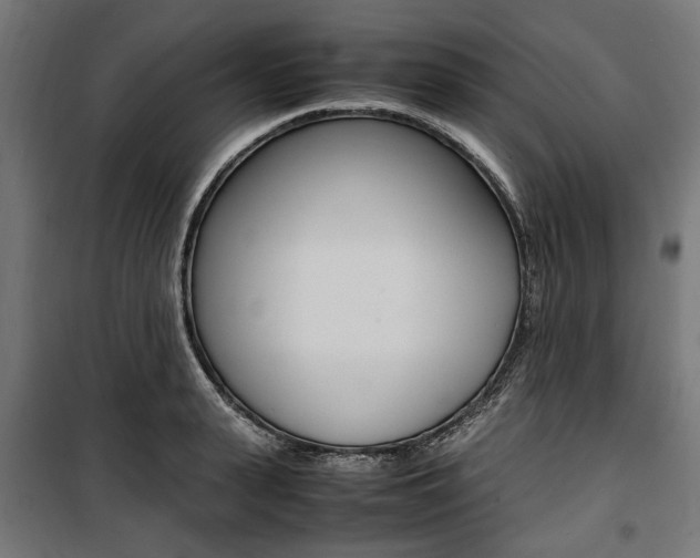 X0000100880943200806201143