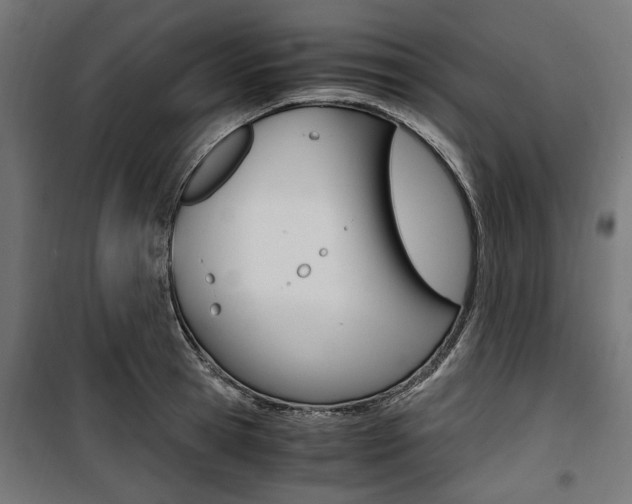 X0000100880945200806201144