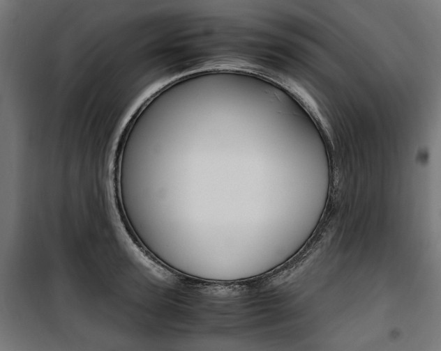 X0000100880947200806201144