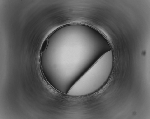 X0000100880948200806201144