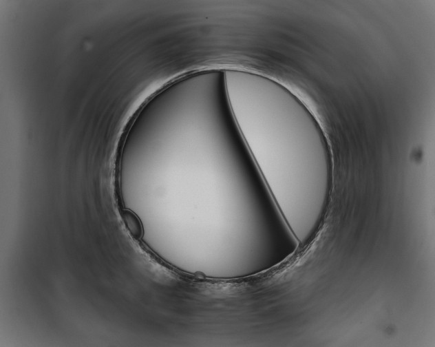 X0000100880949200806201144