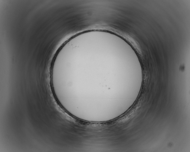 X0000100880950200806201144