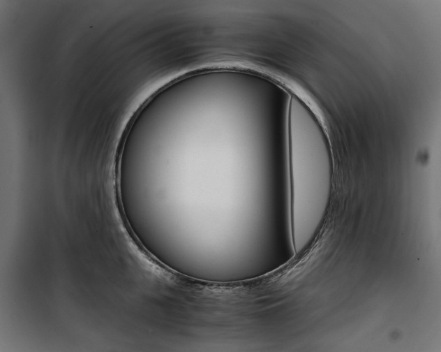 X0000100880951200806201144