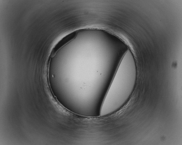 X0000100880952200806201144