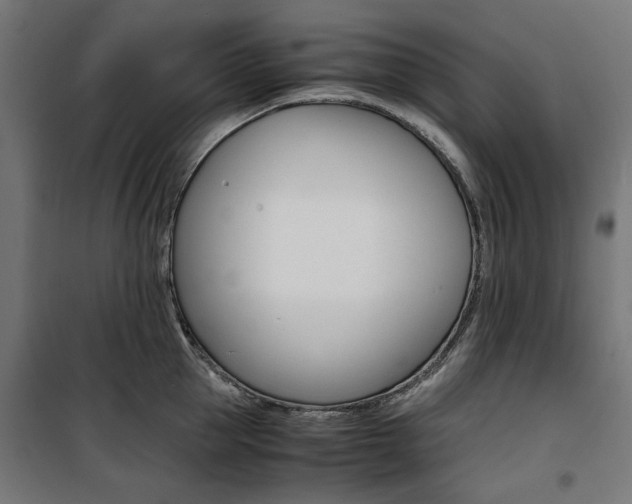 X0000100880953200806201144