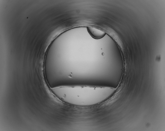 X0000100880954200806201144