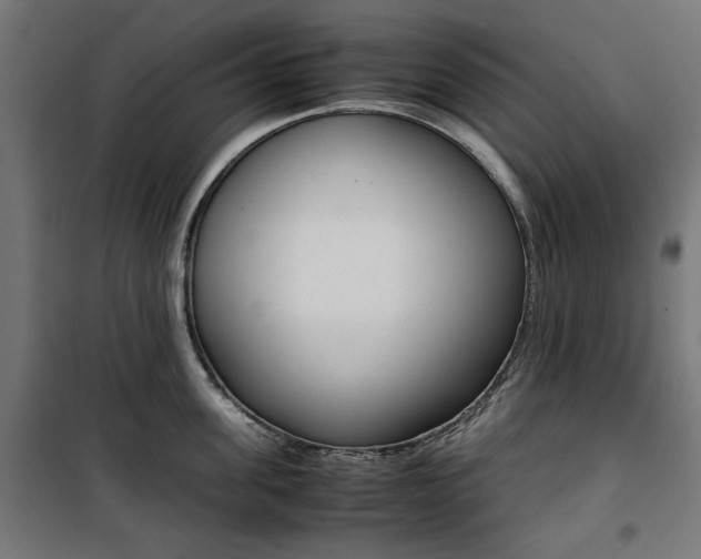 X0000100880955200806201144