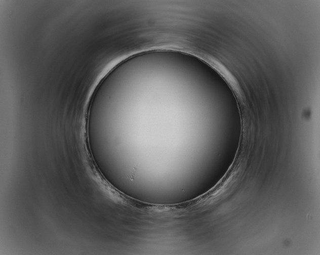 X0000100880956200806201144