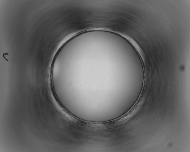 X0000100880957200806201144