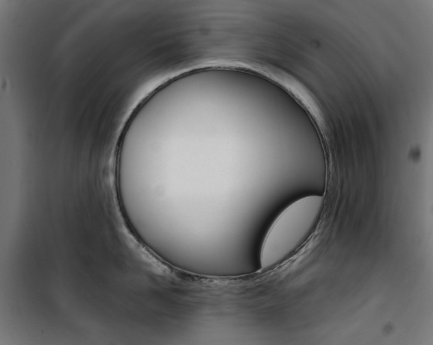 X0000100880958200806201144