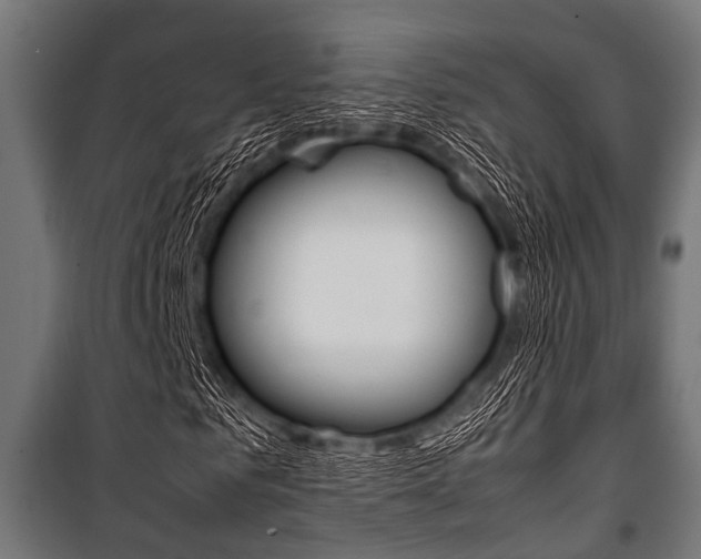 X0000100880961200806201143