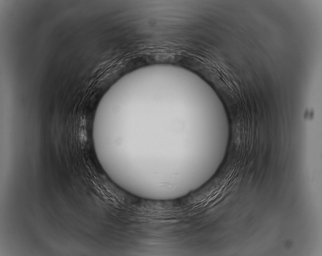 X0000100880962200806201143