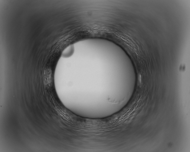 X0000100880963200806201143