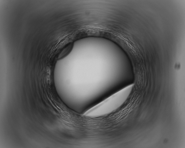 X0000100880964200806201143