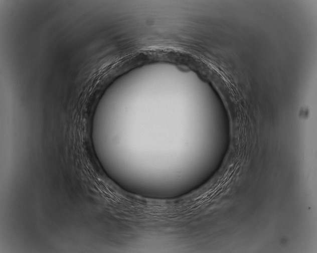 X0000100880965200806201143