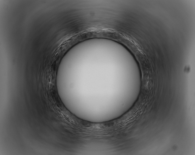 X0000100880966200806201143