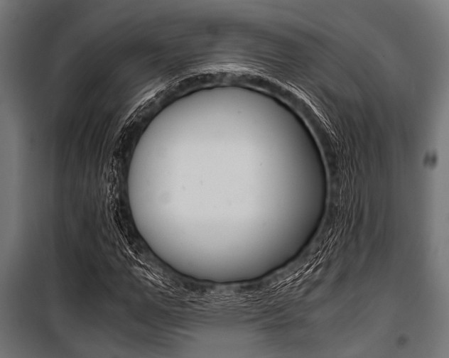 X0000100880967200806201143