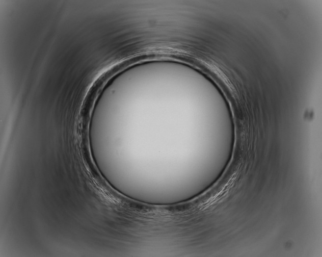 X0000100880971200806201143