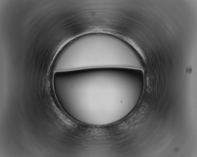 X0000100880972200806201143