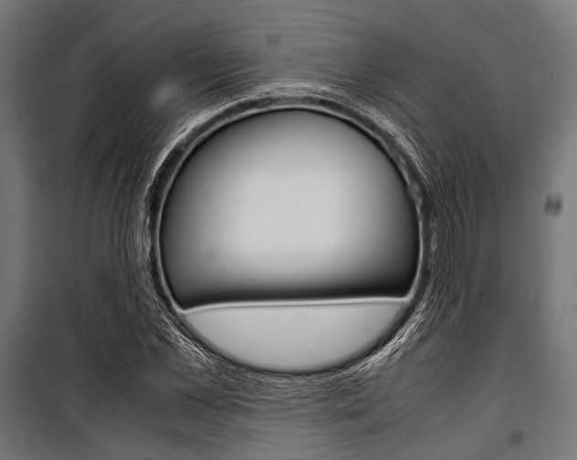 X0000100880973200806201143