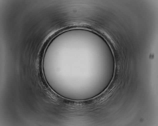 X0000100880975200806201143